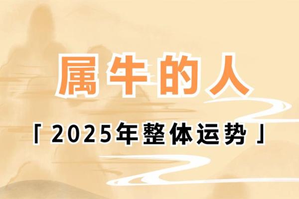 97年牛最佳2025年结婚日期_97属牛女2025年几月结婚最好