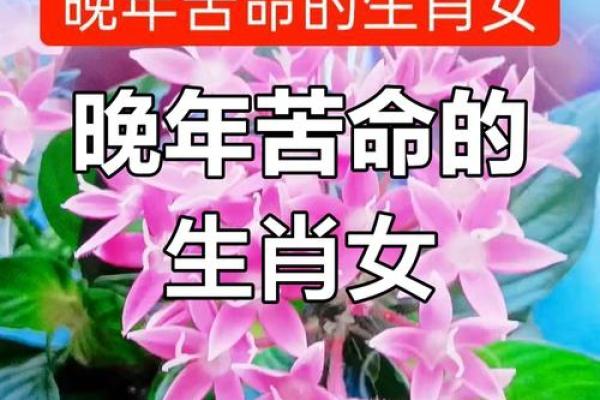属羊人55岁寿命劫数揭秘三招化解劫难平安过坎