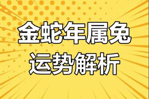 蛇年属兔的运势怎么样2025 2025蛇年属兔全年运势解析2025年属兔运程详解