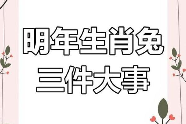 今年属兔的人运势怎样_属兔的今年要离开三个人