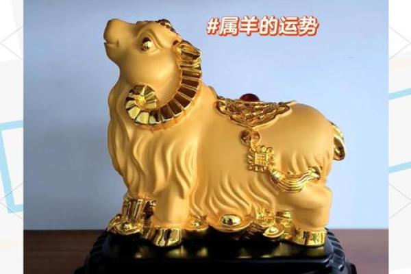 属羊的今年运势和财运怎么样_属羊的今年运势和财运怎么样2024