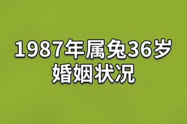 1987年属兔人2025年全年运势_1987年属兔人2025年全年运势详解2025全年运程解析