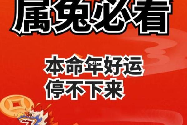 2025年属兔人十一月最旺颜色与财运2025年11月开运指南