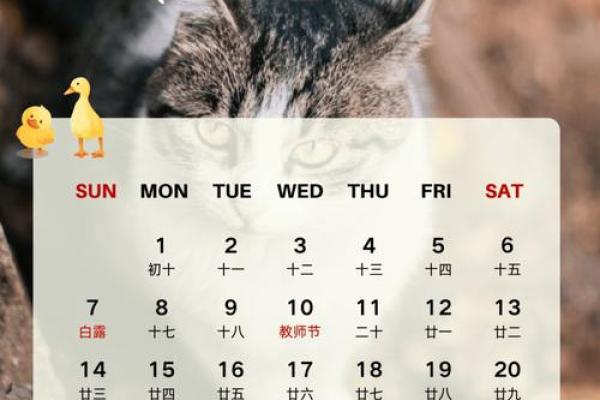 万年历黄道吉日2025年9月 2025年9月份日历
