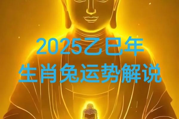 属兔人在2025年的整体运势如何_2025年属兔人全年运势解析乙巳年运程完整指南