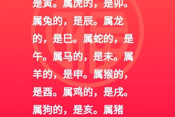 属兔的是哪年出生的_属狗的是哪年出生的