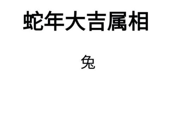 2025年属兔的今年多大 2025年十一月属兔年龄解析2025年11月生肖兔岁数查询