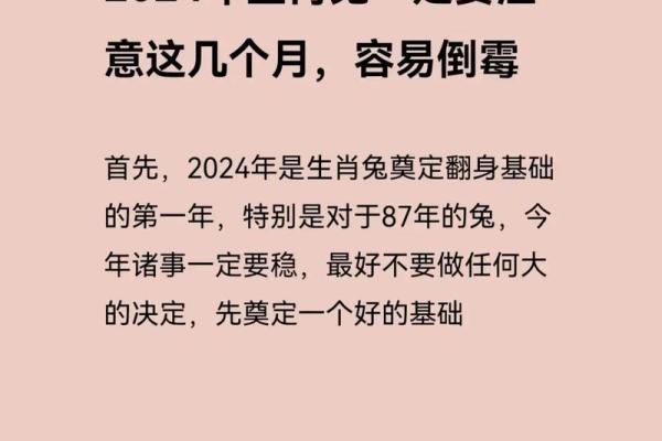 属兔2025年贵人是谁 2025年十一月属兔贵人是谁2025年11月贵人方位解析