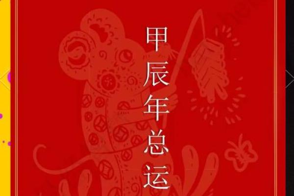 属兔人今天运势和财运 2025年十一月属兔人运势与财运解析11月财运指南