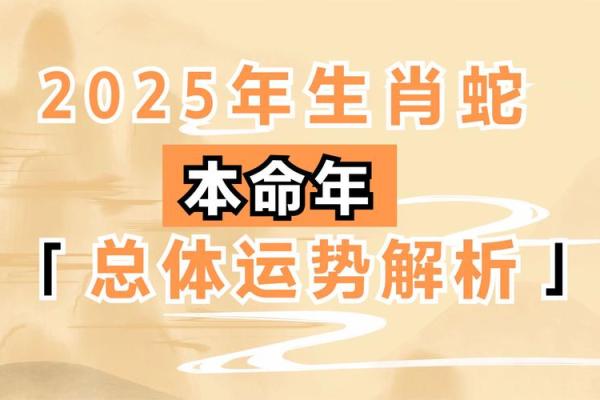 2025兔的全年运势如何_兔蛇年运势2025运势详解图