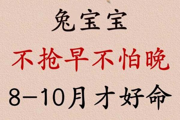 2024年属兔人全年运势解析农历每月运程完整指南
