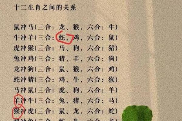 属蛇和属羊的做生意合财吗_属蛇和属羊的做生意合财吗女
