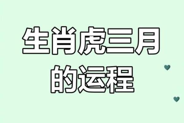 属虎人2025年全年运势运程_2025年属虎人全年运势解析2025年每月运程详解