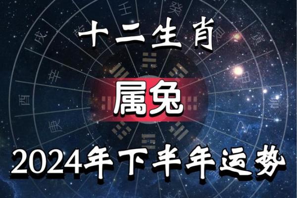 87年属兔今年多大_87年属兔今年多大了2024年