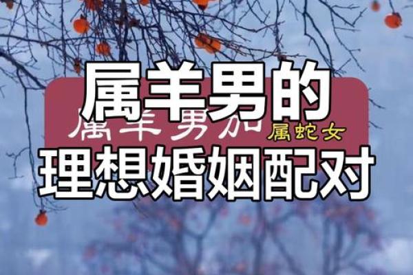 属羊男和属狗女相配吗生肖配对解析与婚恋建议