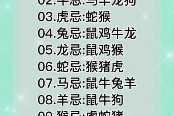 男兔与什么属相相合最好_2025年十一月男兔婚配宜配属相11月最佳生肖配对指南