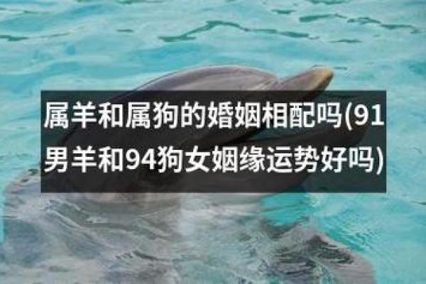 属狗和属羊的婚姻相配吗_1982年属狗和属牛的婚姻