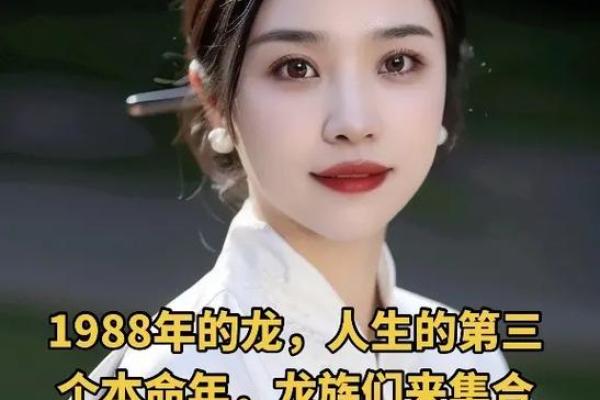 1988年2月14日属龙还是属兔_1988年2月14日什么命