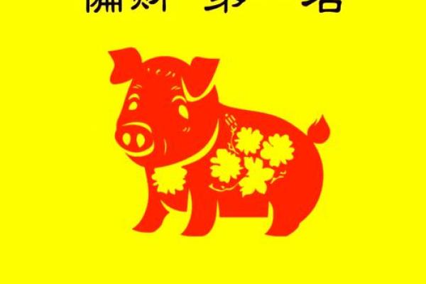 1983年属猪女2024年的运势和婚姻 2024年属猪女全年运势婚姻解析1983年出生者每月运程指南