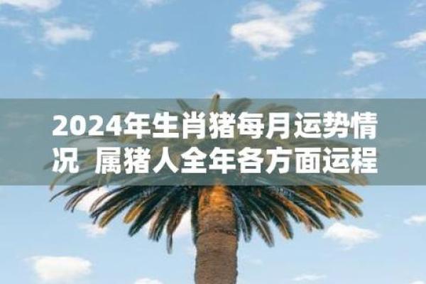 1983年属猪女2024年的运势和婚姻 2024年属猪女全年运势婚姻解析1983年出生者每月运程指南