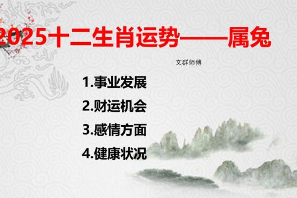 属兔1987年2025年运势及运程 1987年属兔的在2025年怎么样