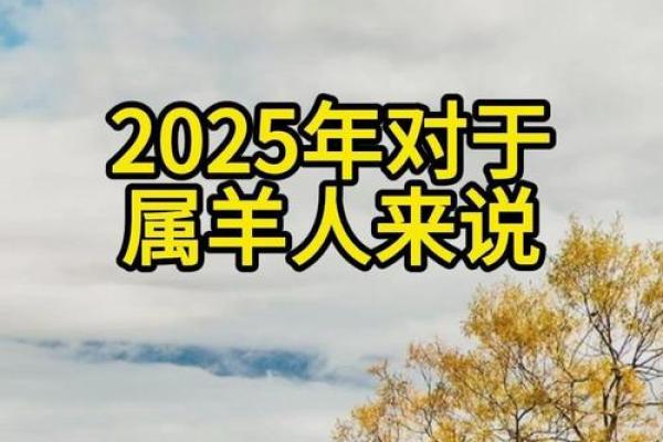 属羊今日运势2025_1979属羊46岁以后运气