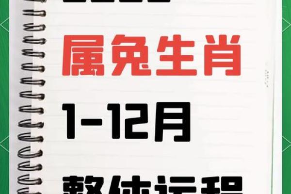 1987年属兔2025年运势 1987年属兔2025年运势及运程