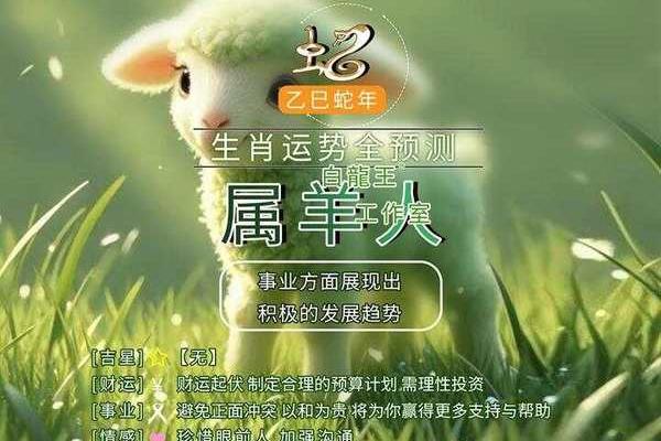 2025年属羊的命运_2025年1991年属羊的运势