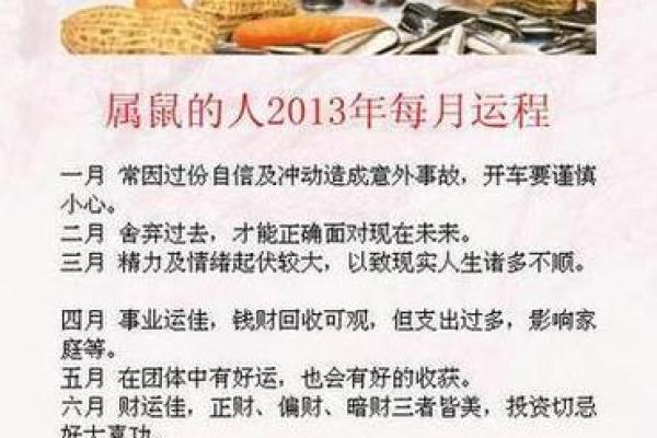 1984年属鼠人2025年运势 1996年属鼠的今年运势