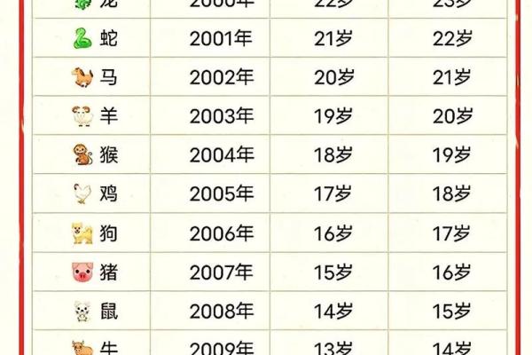 2025年属兔的多大_2025年十一月属兔人多大了2025年11月生肖兔年龄解析