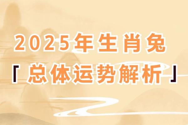 属兔人在蛇年的运势怎么样 2021年属兔蛇人的全年运势