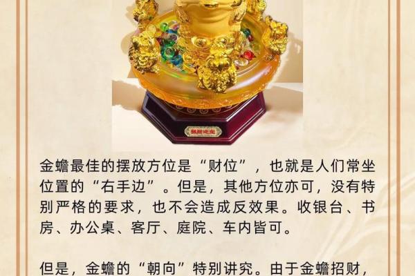属羊今天运势及财运 属羊今日运势财运解析把握机遇财运亨通