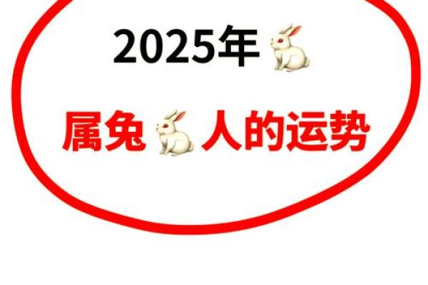 1975属兔人2025年全年运势及运程 1975年属兔人2025年运势详解全年运程及注意事项