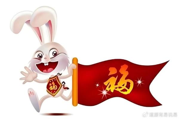 87年属兔的2024年运势_2024年属兔人运势解析87年兔龙年运程指南