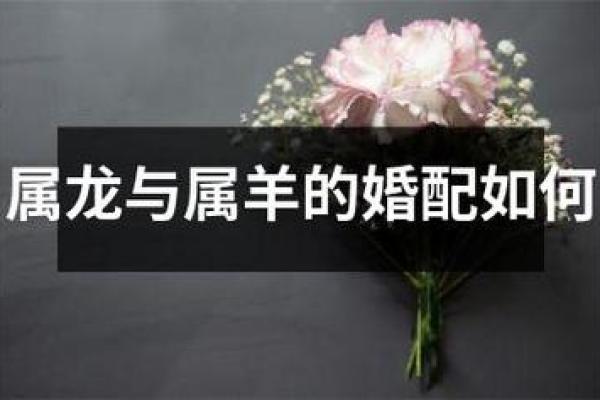 属羊人婚配什么属相最好 属羊人最佳婚配属相解析生肖配对幸福指南