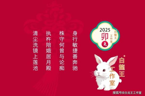 2025年属兔全年运势 2025年属兔全年运势详解每月运程完整版
