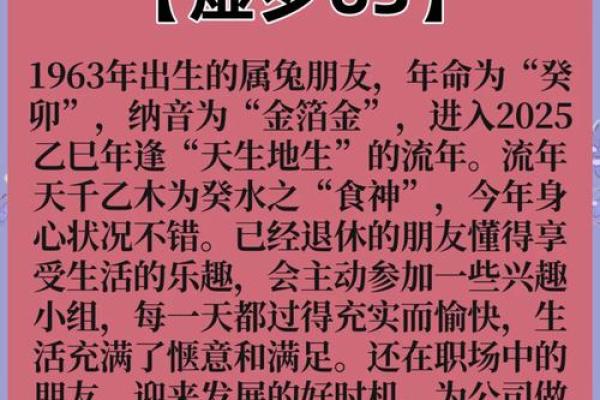 2025年属兔全年运势 2025年属兔全年运势详解每月运程完整版