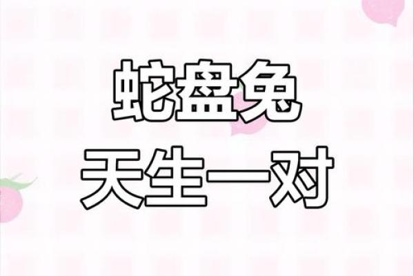 2025年蛇年对于属兔人好吗 2025年对属蛇的人好不好