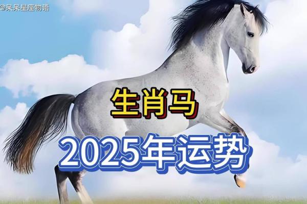 2025年属兔人幸运色 属马今年吉祥色
