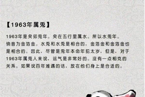 2025年兔运势_2025年兔运势运程1963年的兔