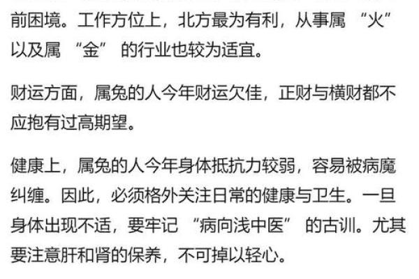 属兔人2025年全年运势及运程 2025年属兔人的运势详解