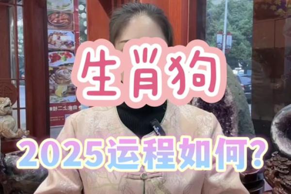 1994属狗男2025年的运势和婚姻_属狗的婚姻和命运