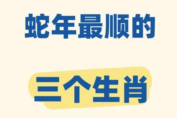 2025年十一月属兔运势解析2025年11月蛇年运程指南
