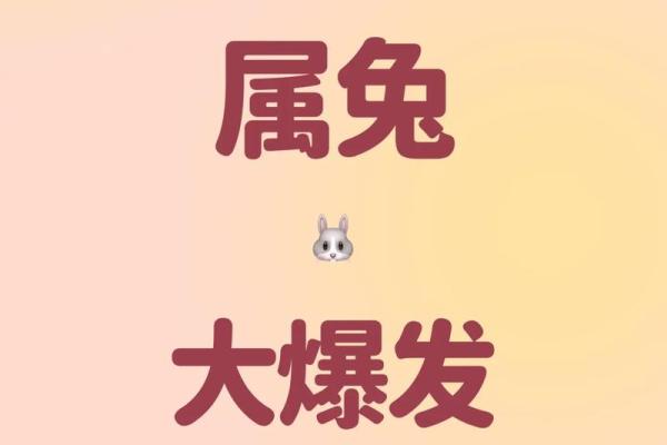 1987年属兔的今年运势_1987年属兔今年运势怎么样女4月初十