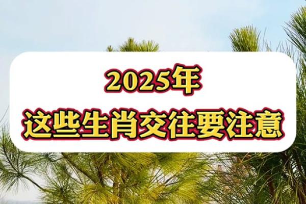 1999年属兔女孩姻缘在哪一年 1999年属兔女2025年十一月姻缘解析2025年11月婚配