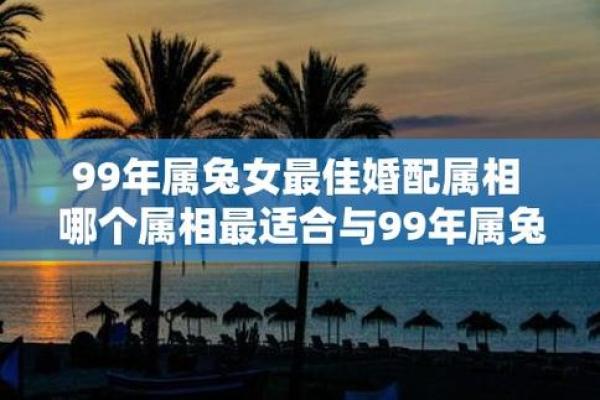 1999年属兔女孩姻缘在哪一年 1999年属兔女2025年十一月姻缘解析2025年11月婚配