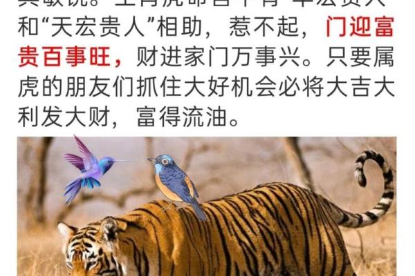 2025年1974年属虎女运势_2025年各月运势解析1974年属虎女全年运程指南