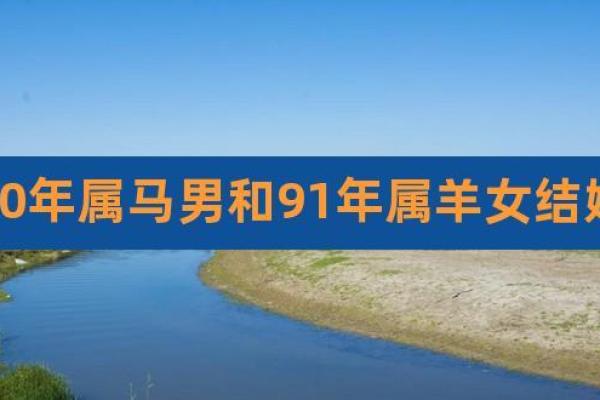 2003年一月是属羊还是属马 2003年一月属什么