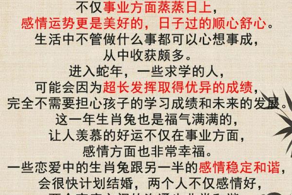 属兔2025年虚岁多大_2025年十一月属兔虚岁多大2025年11月生肖兔年龄计算全
