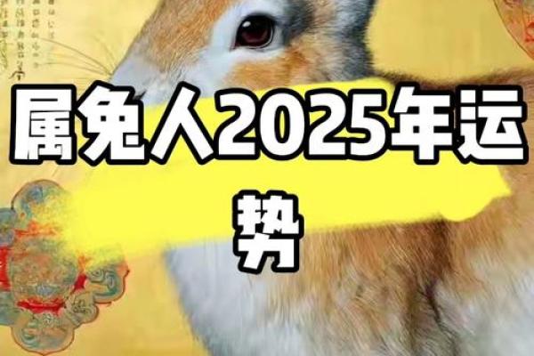 2025年兔子运势及运程_1975属兔50岁以后运气如何